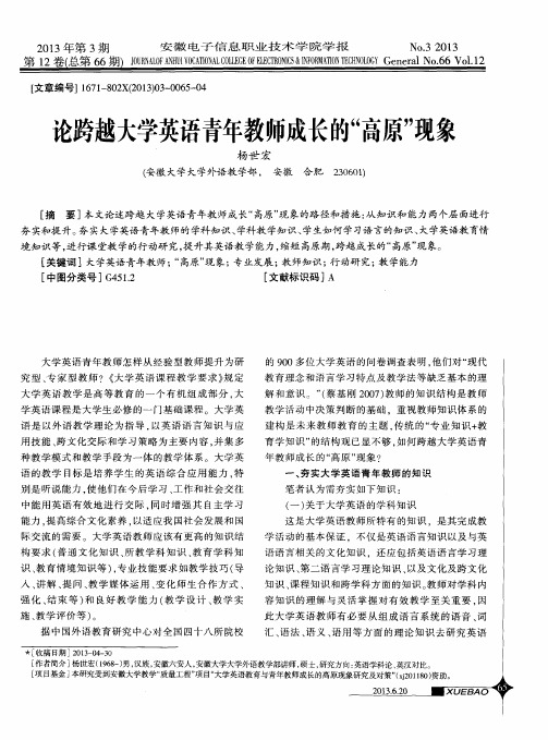 论跨越大学英语青年教师成长的“高原”现象