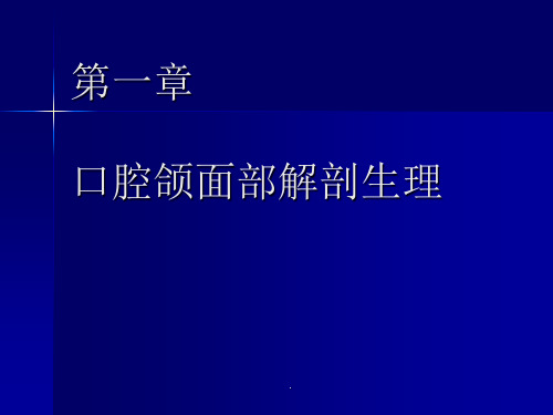 口腔颌面部解剖