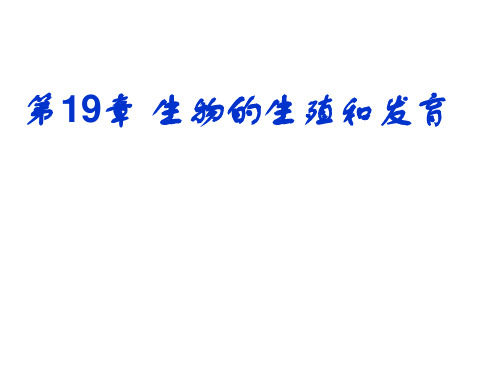 北师大版八年级上册生物 1 人的生殖和发育课件