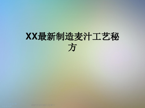 XX最新制造麦汁工艺秘方