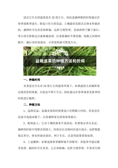 盆栽韭菜的种植方法和时间,是不是每年换一次土