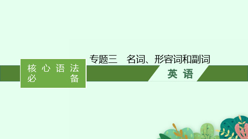 高考英语二轮总复习 核心语法必备 专题三 名词、形容词和副词