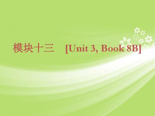 (回归书本)2013届中考英语 知识点回顾冲刺(基础过关+考点透视+典例解析)课件(打包23套)-3