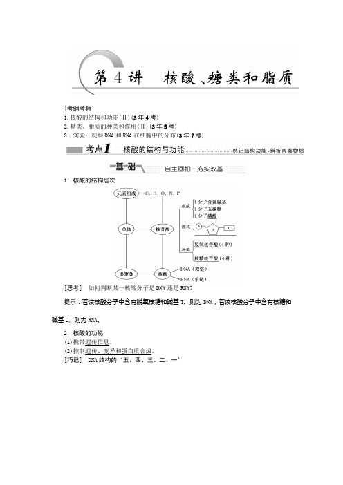 核酸的结构与功能