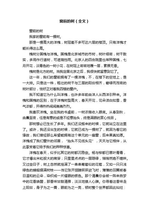 窗前的树（全文）