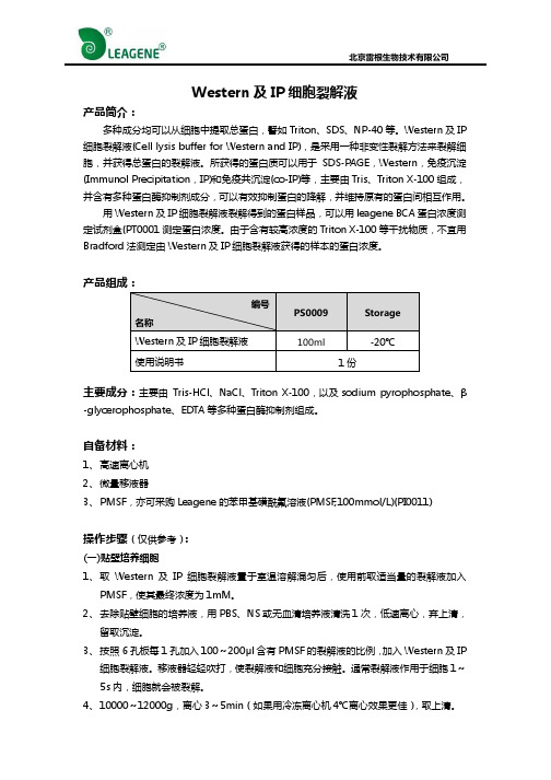 Western及IP细胞裂解液