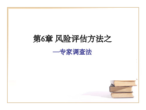 第6章 风险评估方法之—专调查法-精品文档