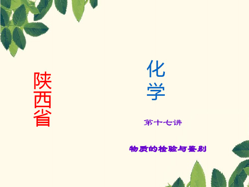 中考化学总复习课件:第17讲物质的检验与鉴别(1)