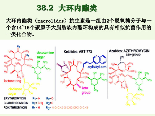 56大环内酯类和氨基糖苷类