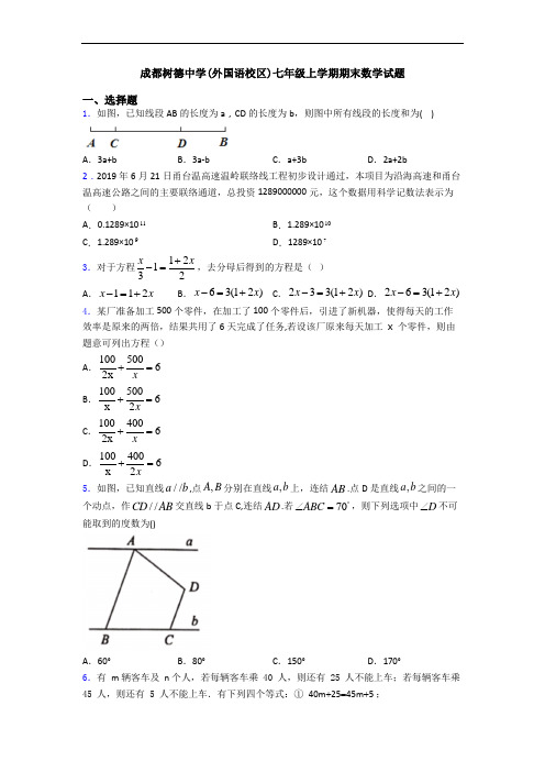 成都树德中学(外国语校区)七年级上学期期末数学试题