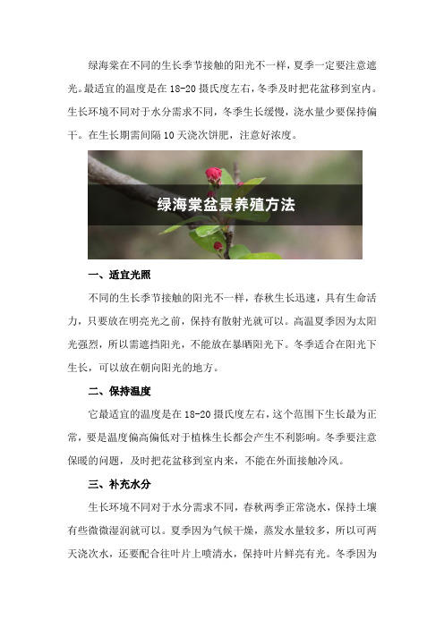 绿海棠盆景养殖方法