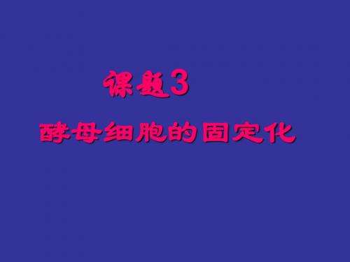 4.3酵母细胞的固定化