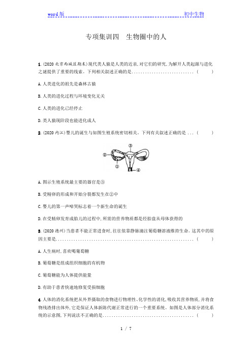 四 生物圈中的人 专项集训 2021届中考冲刺生物一轮复习