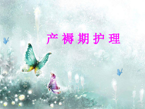 2017新编产褥期护理教学教案