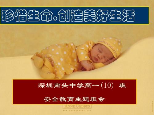 珍惜生命,创造美好生活——安全教育主题班会 PPT课件