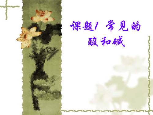 常见的酸和碱(常见的碱)