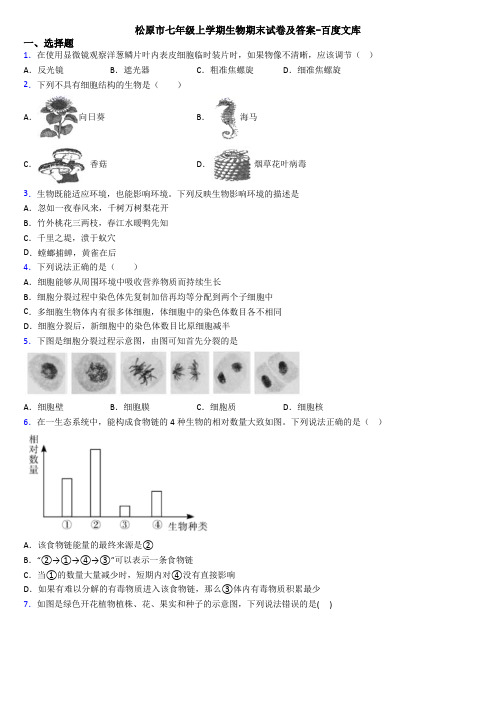 松原市七年级上学期生物期末试卷及答案-百度文库