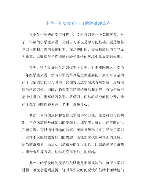 小学一年级文科自习的关键注意点