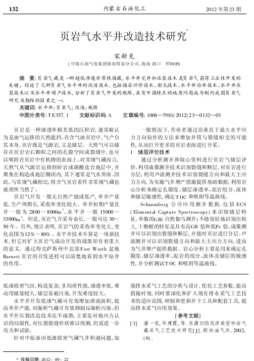 页岩气水平井改造技术研究