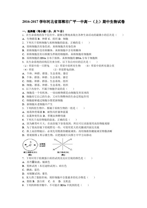 河北省邯郸市广平一中2016-2017学年高一(上)期中生物试卷(解析版)