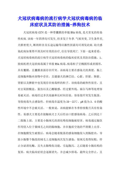 犬冠状病毒病的流行病学 犬冠状病毒病的临床症状及其防治措施 - 养狗技术