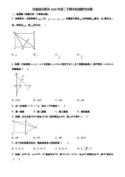 甘肃省庆阳市2020年初二下期末检测数学试题含解析