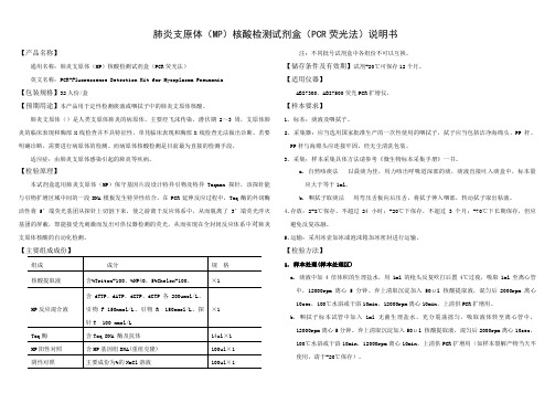 MP核酸检测试剂盒说明书