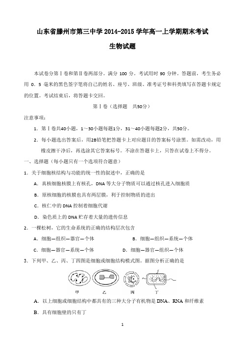 山东省滕州市第三中学2014-2015学年高一上学期期末考试生物试题 Word版含答案