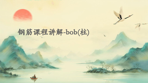 钢筋课程讲解-bob(柱)