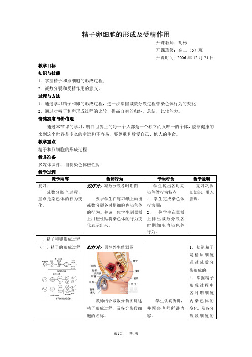 高中生物精子卵细胞的形成及受精作用