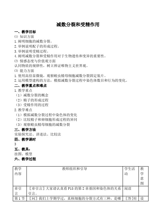 新人教版必修2高中生物减数分裂和受精作用1