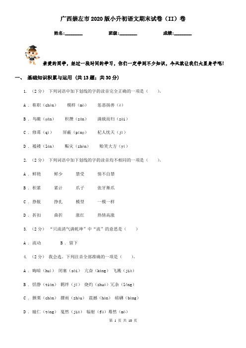 广西崇左市2020版小升初语文期末试卷(II)卷