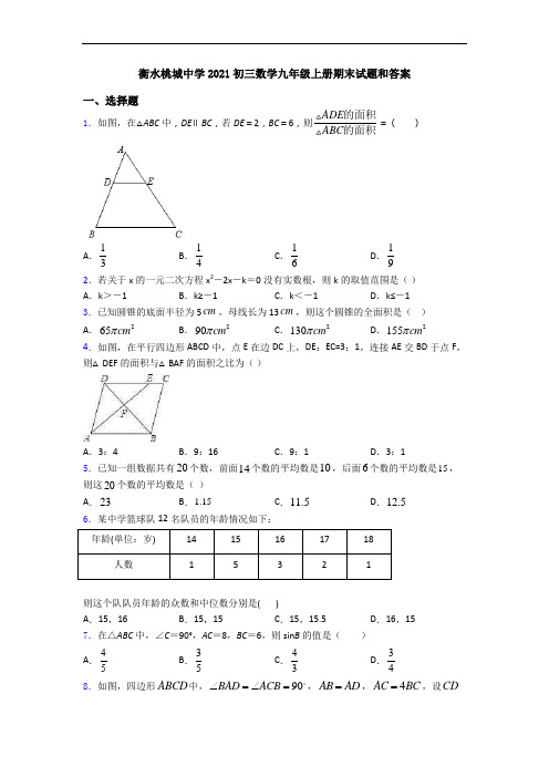 衡水桃城中学2021初三数学九年级上册期末试题和答案