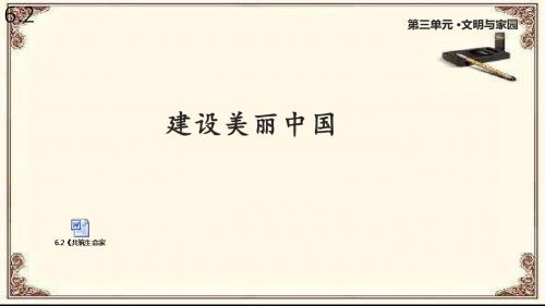 人教版道德与法治九年级上册6.2《共筑生命家园》课件