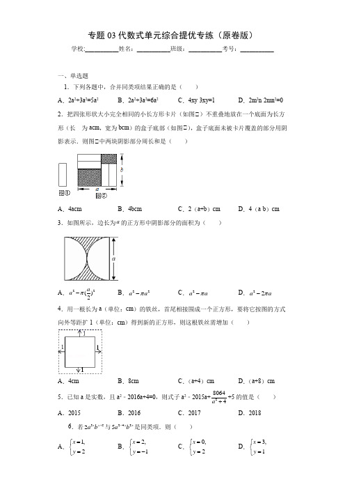 2023学年浙江七年级数学上学期专题训练专题03 代数式单元综合提优(含详解)