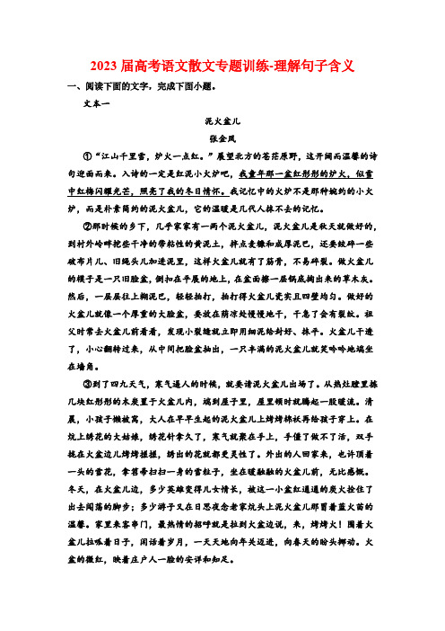 2023届高考语文散文专题训练-理解句子含义(含答案)