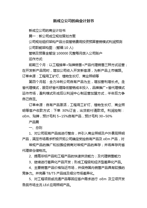 新成立公司的商业计划书