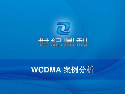 世纪鼎利WCDMA案例