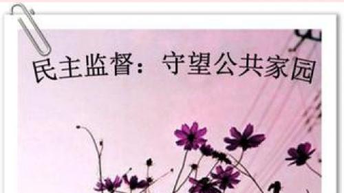 九年级道德与法治下册依法行使监督权第1框《监督制约保障公正》课件陕教版