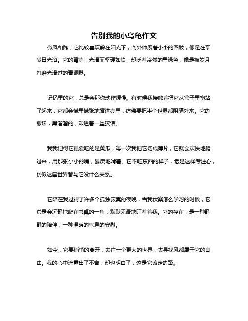 告别我的小乌龟作文