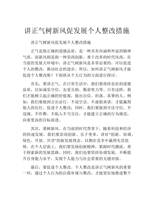 讲正气树新风促发展个人整改措施