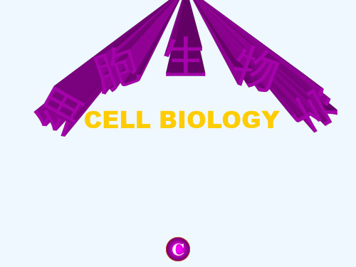 细胞生物学(电子版) PPT