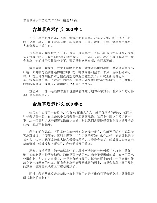 含羞草启示作文300字