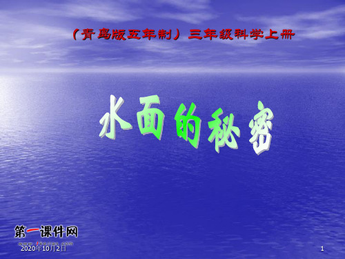 水面的秘密 ppt(青岛版五年制)三年级科学上册PPT课件