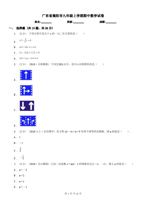 广东省揭阳市九年级上学期期中数学试卷