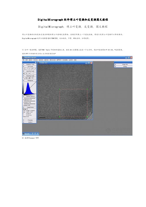 DigitalMicrograph软件傅立叶变换和反变换图文教程