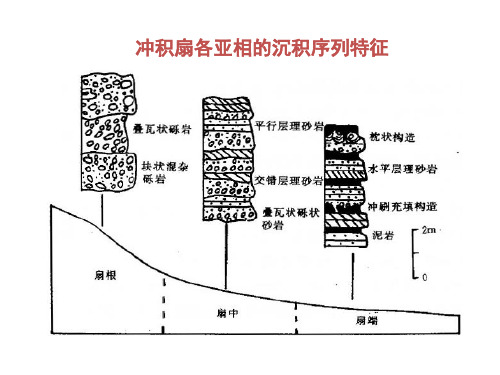 各个沉积相的沉积序列