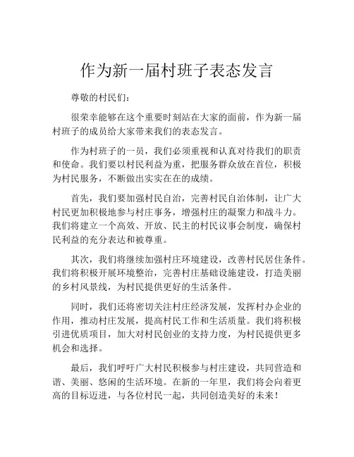 作为新一届村班子表态发言