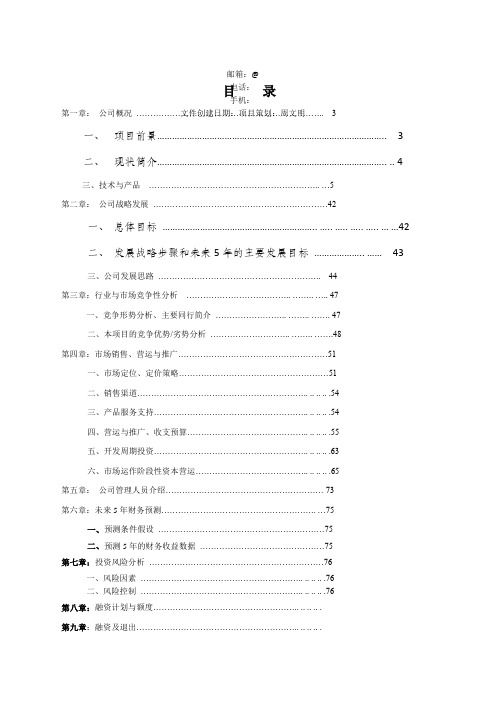 网络文化传媒股份公司商业计划书