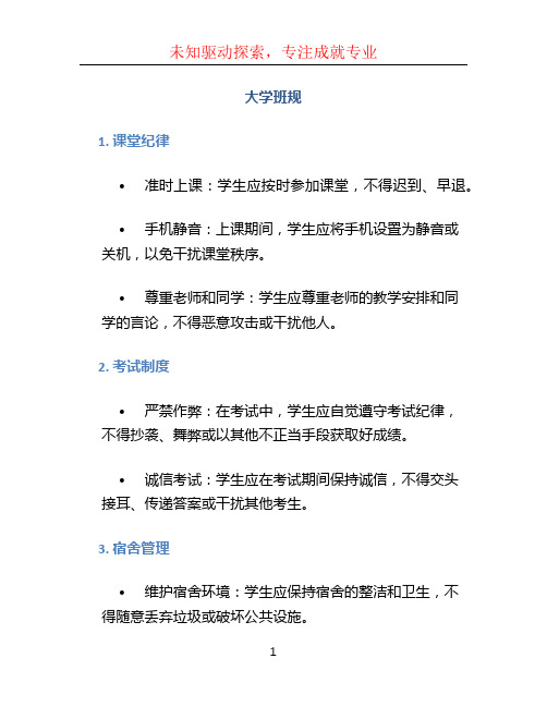 大学班规文档